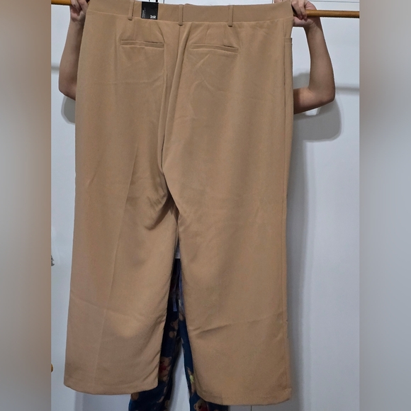 Torrid Tan Slacks, Plus Size 26 - Picture 2 of 3